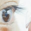 Miniatura de Nuevas lentes de contacto permiten ver con los ojos cerrados y detectar luz infrarroja
