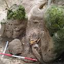 Post thumbnail of Descubren ciudad maya de casi 3.000 años en Guatemala