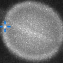 Post thumbnail of ¿Un objeto misterioso impactó contra Saturno? Astrónomos investigan un inusual destello en el planeta gigante