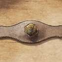 Post thumbnail of Hallan un fósil de trilobite modificado y convertido en amuleto en un yacimiento romano de Galicia