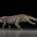 Post thumbnail of Descubren en la Patagonia un cocodrilo prehistórico que cazaba dinosaurios