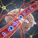 Post thumbnail of Revierten el Alzheimer en ratones con un innovador tratamiento de nanopartículas