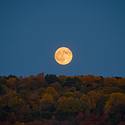 Miniatura de Superluna de Cosecha 2025: cómo ver la luna llena de octubre junto a una lluvia de estrellas